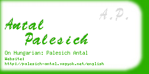 antal palesich business card